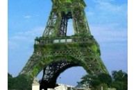 Головний символ Парижу пропонують перетворити на найвище в світі дерево